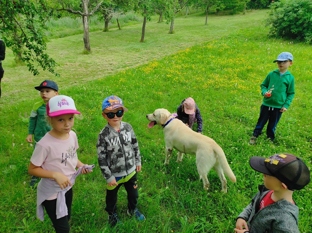 Červenec ve školce 